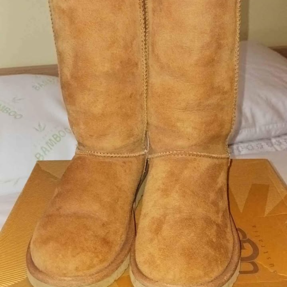 Ugg Tan  Boots
